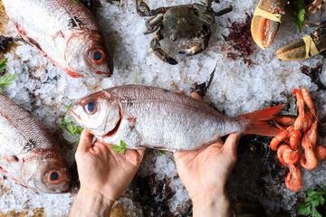Fish Market