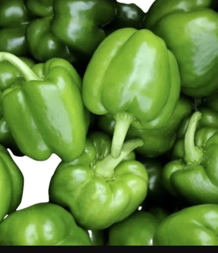 Green Bell Peppers (Capsicum)