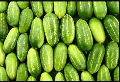 Ivy Gourd (Dondakaya)