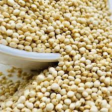 Premium Quality Jowar (Jonallu) ( 1 Kg )