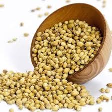 Coriander Seeds ( Sabut Dhaniya ) ( 1 kg )