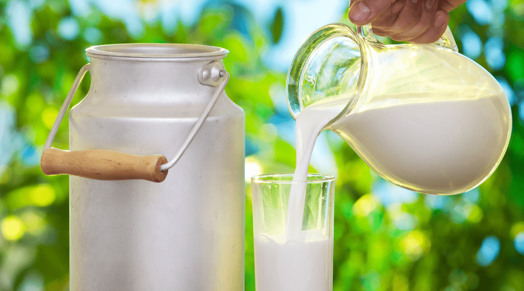 A2 Milk Suppliers