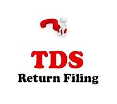 TDS Filing Services