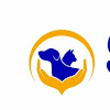 SAFE HANDS PET CLINIC & SPA — Pet Training Services in Vishakapatnam District, Andhra Pradesh, India