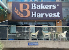 Bakers Harvest — Bread in Hyderabad, Telangana, India