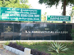 Sri Venkateswara Agricultural College