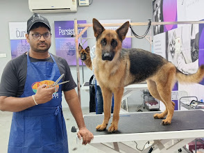 Nails 'n' Tails Pet Shop & Spa — PET SPA SERVICES in Tirupati, Andhra Pradesh, India