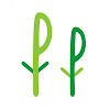 Plant People — Fruit Plants in Mumbai, Maharashtra, India