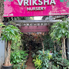Vriksha Nursery — Fruit Plants in Mumbai, Maharashtra, India