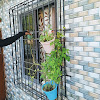 F.k fabrication work — Fabrication Work Services in Mumbai, Maharashtra, India