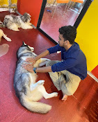 Pawfect Life — Pet Training Services in Mumbai, Maharashtra, India