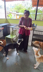 Aakash Pet Services — Pet Training Services in Mumbai, Maharashtra, India